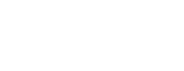Stellantis - Drive Experience